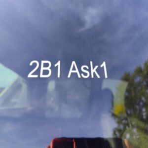 2B1 Ask1 B